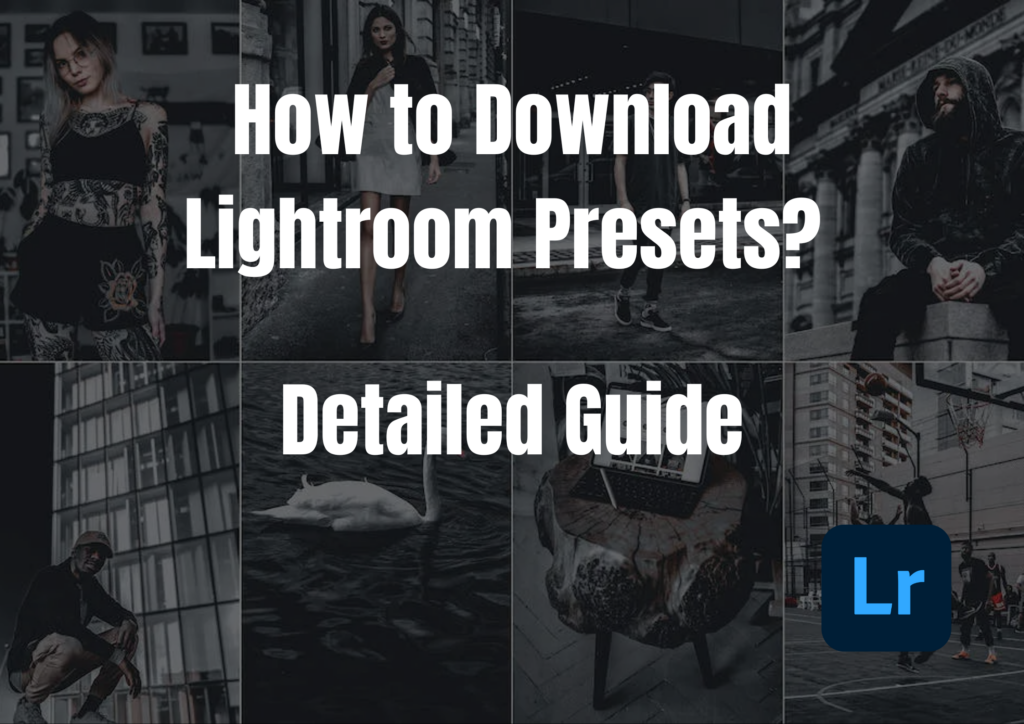 How to Download Lightroom Presets