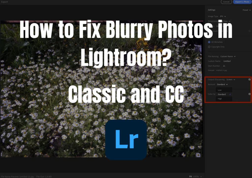 how to fix blurry photos in Lightroom